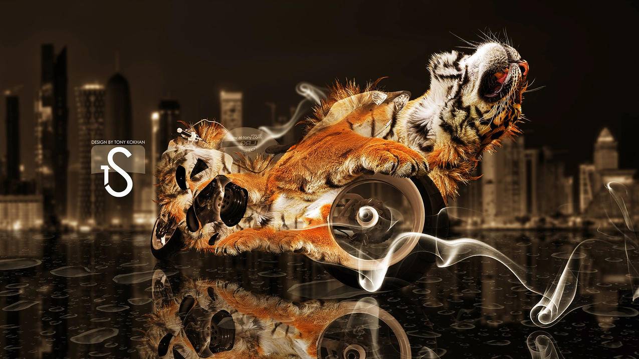 网红商城